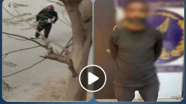 تفاصيل ضبط شخص ارتكب أفعال خادشة للحياء في الطريق العام بالقاهرة | فيديو