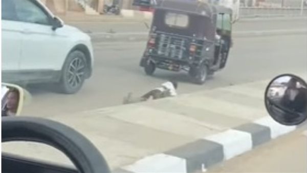  لقطات صادمة.. فيديو إلقاء طفل من توكتوك في الغربية يثير ضجة | شاهد