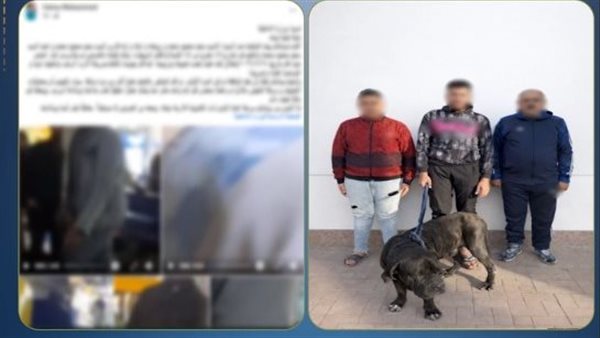 تهديد بالكلاب وسحل بالضرب.. التفاصيل الكاملة لمشاجرة الجيرة بالإسكندرية | فيديو