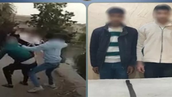 فيديو صادم.. اعتداء مروع على سائق وشقيقه في الدقهلية | شاهد