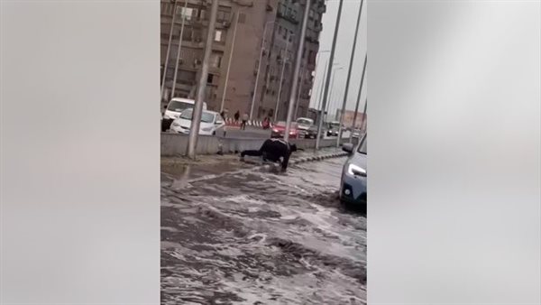 بطل في مواجهة الطقس السيء.. 17 ثانية توثق شجاعة أمين شرطة | فيديو