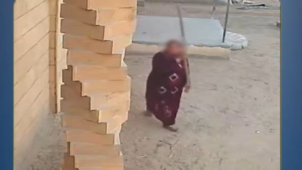  مرات عمي مخلتش فيها حتة سليمة.. تصرف مثير من سيدة بسبب الميراث بسوهاج | فيديو