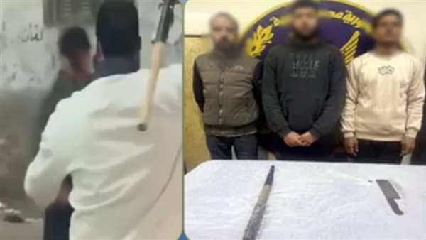 شوم وسواطير.. التفاصيل الكاملة لخناقة الجيران بالقليوبية | فيديو