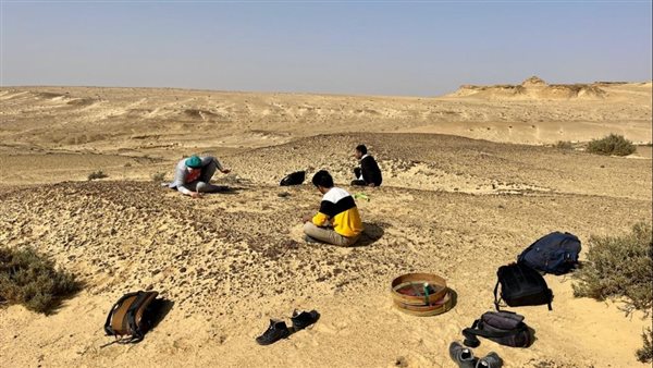 مصريبثيكس.. حكاية القرد الذي سكن الصحراء الغربية المصرية قبل 18 مليون عام