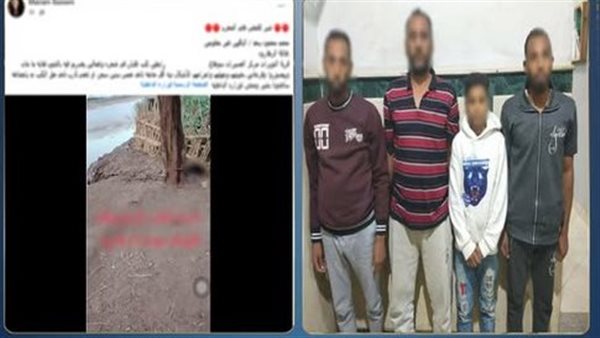 خافوا من السعار.. تفاصيل القبض على المتهمين بقتل كلب في سوهاج