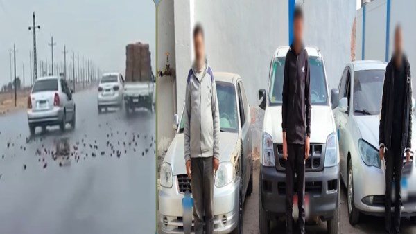  مطاردة سيارة الطماطم.. التفاصيل الكاملة للفيديو المثير للجدل | شاهد 