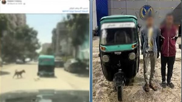 القصة الكاملة لفيديو سحل كلب بعد ربطه في توك توك بشوارع القاهرة