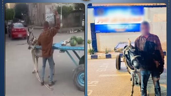 تفاصيل القبض على بائع خضروات ضرب حماره في البحيرة