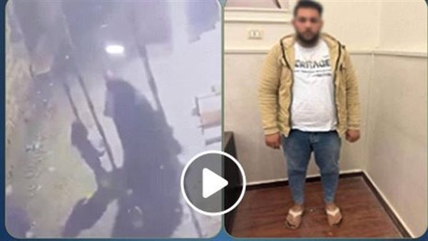 التفاصيل الكاملة..حقيقة خطف طفلتين في المنوفية | فيديو