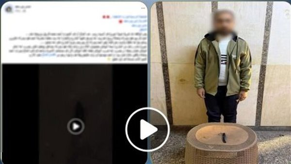 لقطات صادمة.. قرار جديد بشأن المتهم بالتعدي على والدته في بورسعيد | فيديو