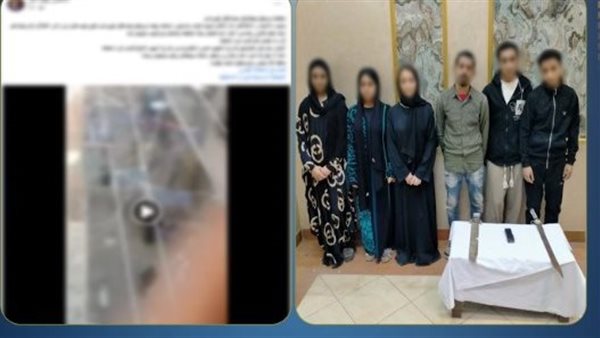 معركة الفتيات والشباب.. القصة الكاملة لمشاجرة المحلة الدامية | فيديو