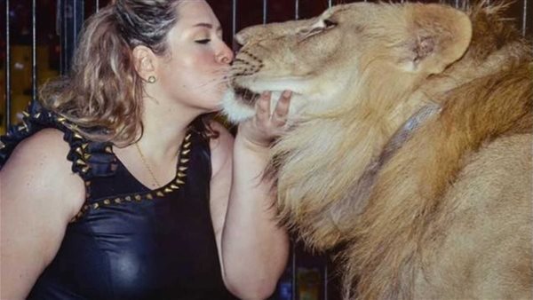 غير شرس.. ماذا قالت لوبا الحلو في إصابة طفلة بسيرك العجوزة؟