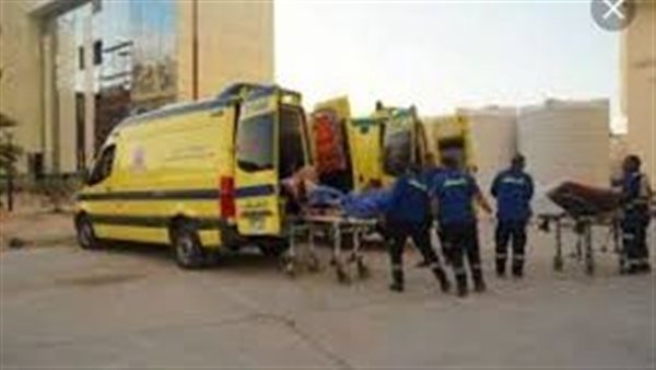 عشاء تحول إلى مأساة.. التفاصيل الكاملة لتسمم 19 عاملًا داخل مزرعة عنب بالمنيا