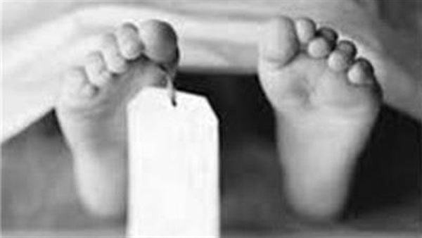 نهشته الكلاب.. تفاصيل صادمة في العثور على جثة طفل بمقلب قمامة بالإسكندرية