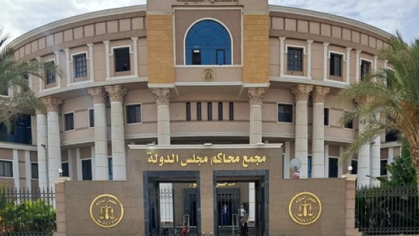 تفاصيل دعوى إنشاء المجلس القومي للرجل