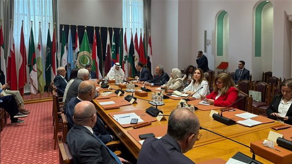 جامعة الدول العربية تطلق دورة تدريبية متخصصة حول 