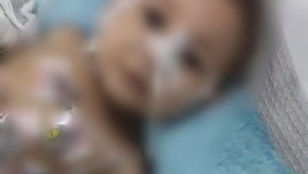  حقنوهما بالكلور ودماء فاسدة.. اعترافات صادمة للجدتين والعمة في قتل رحيم وإصابة رحمة بالصف