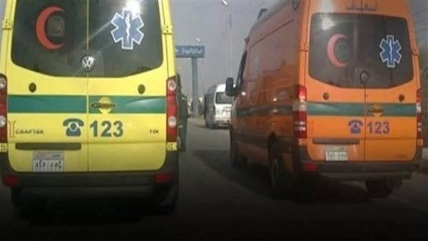 تفاصيل مأساوية في وفاة 3 أشخاص داخل مصنع بالبراجيل