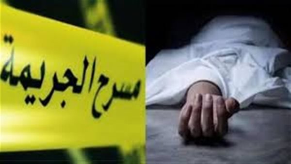 طعن أبناء خاله ولحق بهما.. تفاصيل مأساوية في جريمة كفر الشيخ