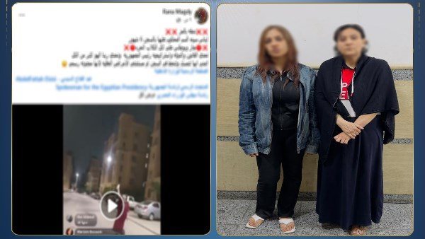 خناقة الكلاب في أكتوبر..كيف تحول إطعام الحيوانات إلى محضر شرطة ومواد كيميائية؟ 