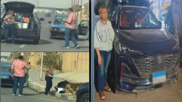 تفاصيل القبض على سيدة تطعم الكلاب الضالة في شوارع القاهرة 