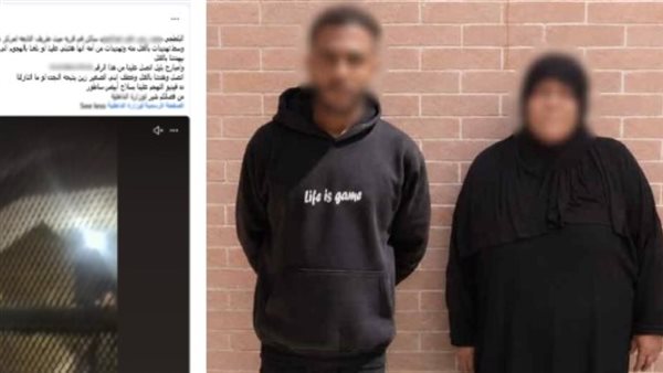 تفاصيل تهديد سيدة داخل منزلها بالدقهلية | فيديو