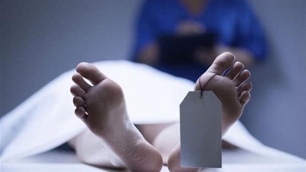 استدرجته بالحب والحنان.. تفاصيل الحكم على سيدة وعامل لقتلهما شاب بالقليوبية 