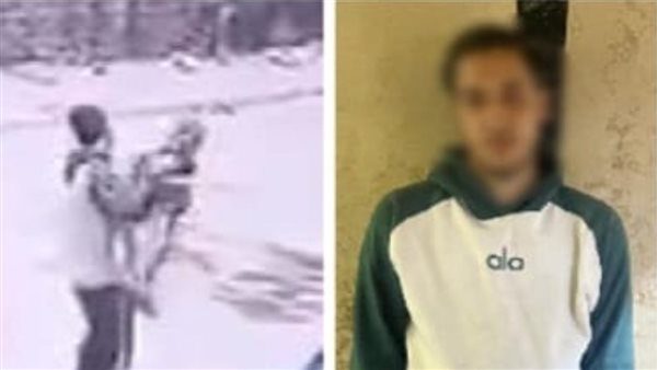 تفاصيل القبض على المتهم بإلقاء طفل على الأرض بطريقة وحشية بمنشأة ناصر 