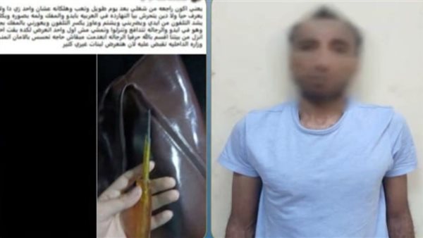  هددها بمفك.. تفاصيل ضبط عامل تحرش بسيدة داخل ميكروباص بالقاهرة | فيديو