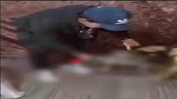 مأمورية سرية.. كواليس سقوط إمبراطور الكيف والبلطجة بأبوالنمرس