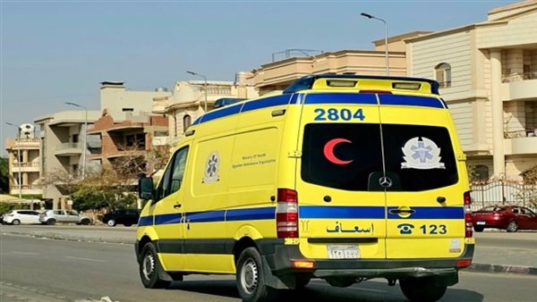  عاطل ينهي حياة صغيرة زوجته بعد اعتداء غير أخلاقي في أبو النمرس 