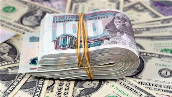 سعر الدولار اليوم الأربعاء 24-6-2026 بعد الانخفاض