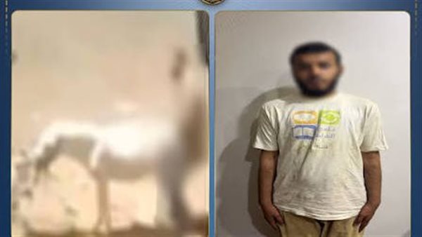 خلصت وصليت الفجر.. اعترافات صادمة للمتهم في واقعة حمارة القليوبية