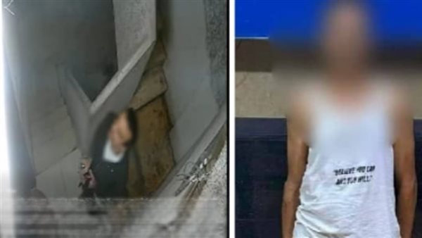  ضربها وسرقها.. تفاصيل استغاثة مسنة من ابنها بدار السلام | فيديو