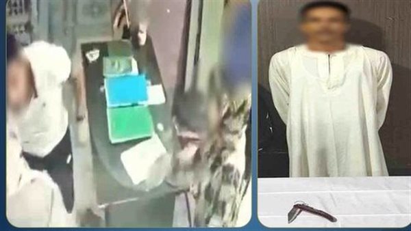 كدمات في الرأس والعينين.. تفاصيل ضبط المتهم بالتعدي على شقيقته ووالدته بالشرقية | فيديو
