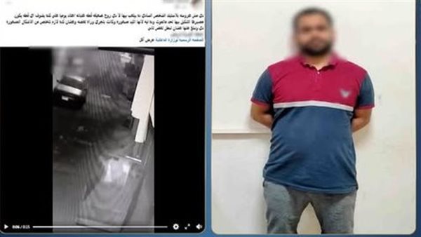 بنتي خافت منها.. تفاصيل القبض على شاب عذب قطة حتى الموت بالمحلة 