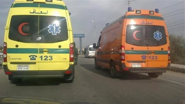 دهسهما قاصر يقود سيارة.. تفاصيل مأساوية في مصرع أب وإصابة ابنه بسوهاج