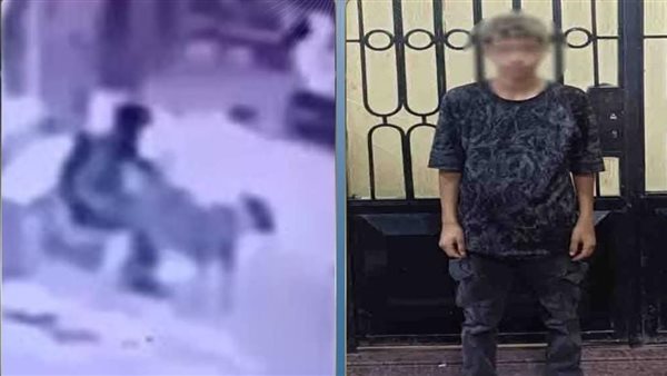 فعل غير أخلاقي وفيديو فضحه.. تفاصيل ضبط المتهم بالتعدي على كلب ضال في المنوفية 