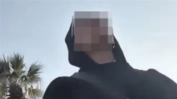 ألفاظ خارجة.. سيدة تعتدي على طليق شقيقتها أثناء رؤية ابنه في حلوان | فيديو