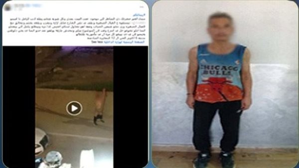 فيديو السير عاريًا يقود الأمن لضبط مسجل خطر سكران في أكتوبر | شاهد