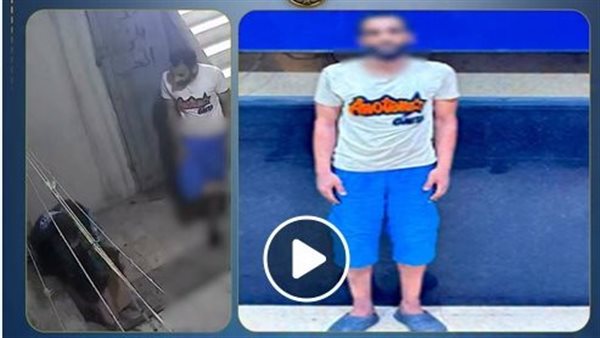 لو هتحبسوا ابني أنا مسامحاه..تفاصيل مأساة عجوز طردها ابنها من منزلها بالقاهرة | فيديو