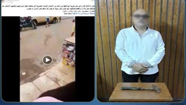 بسبب إطعامها الكلاب.. تفاصيل القبض على المتهم بالاعتداء على سيدة بالإسكندرية | فيديو