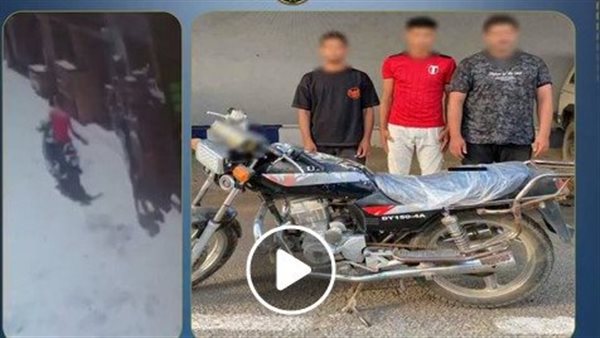 تفاصيل القبض على المتهمين بسرقة هاتف فتاة في المنوفية | فيديو