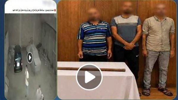 كانوا رايحين يضربوا جوزها.. تفاصيل ضبط المتهمين بواقعة سيدة حركة مصارعة المحترفين في القليوبية | فيديو