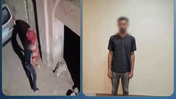 عشان موبايل هان والدته وسحل أخته.. كواليس جريمة ضرب مسنة بالشارع في مغاغة | فيديو