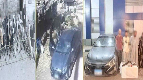  تفاصيل سقوط عصابة سرقة الماشية في الشرقية | فيديو
