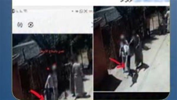 بلطجة وتكسير كاميرات.. تفاصيل ضبط طرفي مشاجرة أبو حمص | فيديو