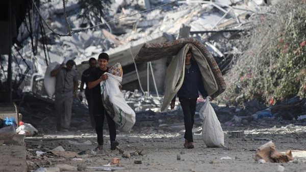تضامن الأمل: دعوات الهجرة تجمع فلسطينيي كندا بعائلاتهم في غزة