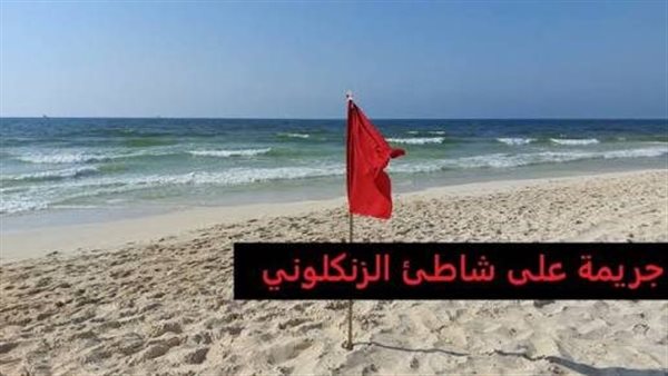 جريمة شاطي الزنكلوني.. تفاصيل الحكم على المتهم بالتعدي على قاصر بأبوتلات