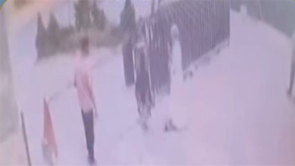 علشان طلب البطاقة من أخوها.. تفاصيل القبض على المتهمة بالتعدي على فرد أمن بأكتوبر | فيديو